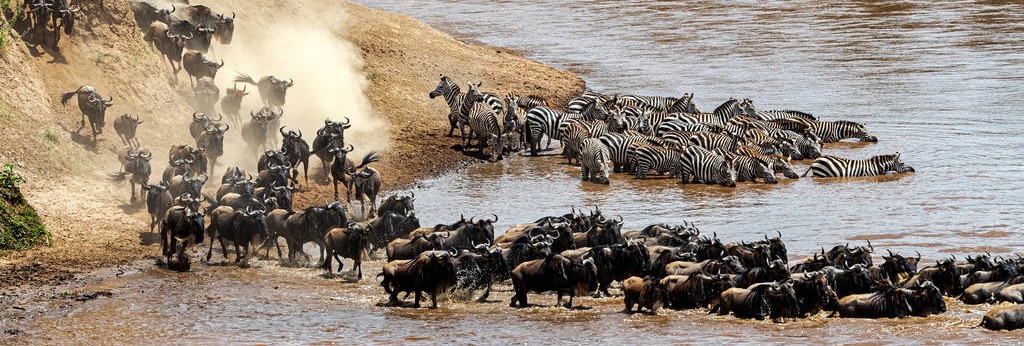 9 Days Serengeti Wildebeest migration budget