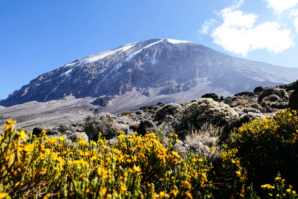 Kilimanjaro Climbing Lemosho Route