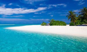 Your dream holiday in Zanzibar