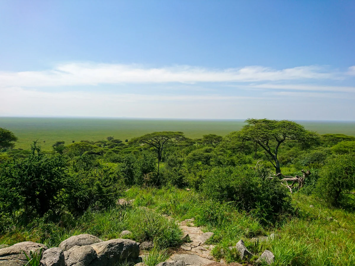 Tanzania`s Top 10 Bucket list Safaris