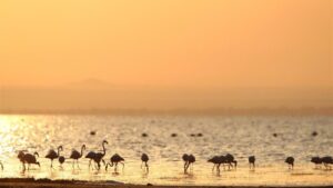 Tanzania’s Ultimate Travel Bucket List for 2025