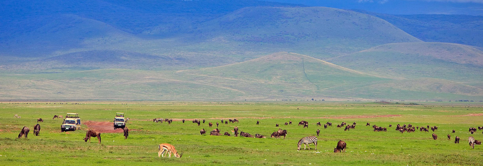 ngorongoro-crater-game-viewing