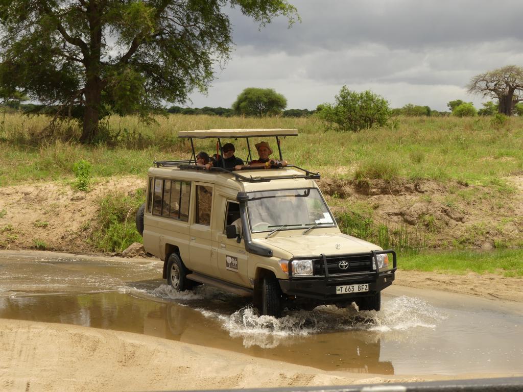 Best Time to Visit Tanzania for Tarangire Safari