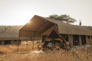 5-Day-Tanzania-Budget-Adventure-Tented-camps-Safari